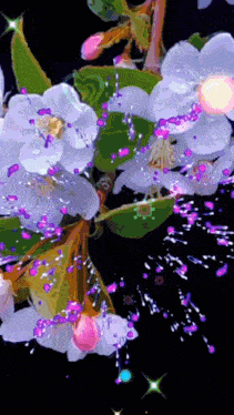 a painting of white flowers with purple petals and green leaves on a black background