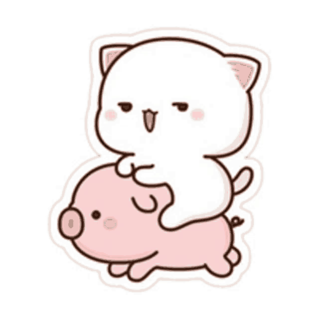 a cat is riding on the back of a pig .