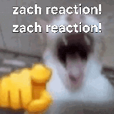 a person is pointing at a cat with the words zach reaction zach reaction written on it .
