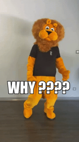 Why Mais Pourquoi GIF - Why Mais Pourquoi Lion GIFs