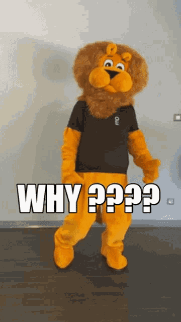 a lion mascot wearing a black shirt and yellow pants is asking the question why