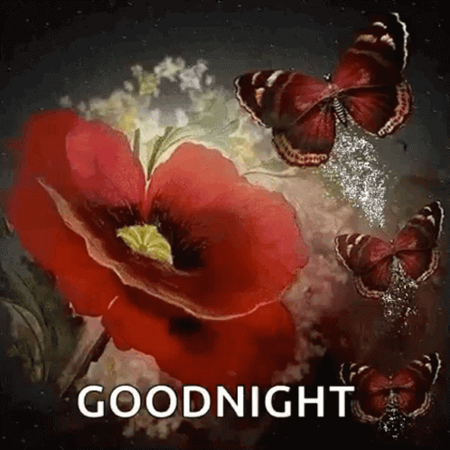 Good Night Sweet Dreams GIF - Good Night Sweet Dreams Sparkling GIFs