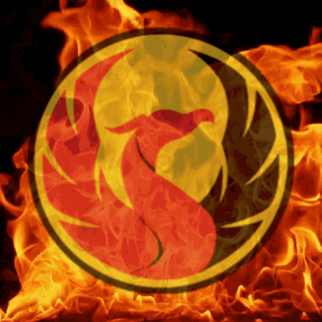 a picture of a dragon in a circle surrounded by fire