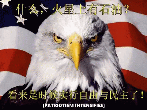 Patriotism America GIF - Patriotism America American Eagle GIFs