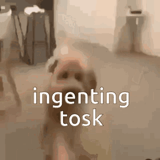 a picture of a dog with the words ingenting tosk written above it