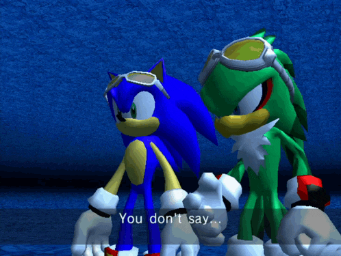 sonic the hedgehog and jet the hedgehog are standing next to each other with the words " you don 't say " above them