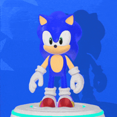 sonic the hedgehog is standing on a white circle