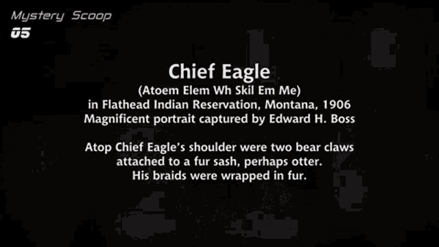 Chief Eagle American Indian GIF - Chief Eagle American Indian Indian Chief GIFs