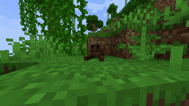 a screenshot of a minecraft game shows a frog laying in the grass