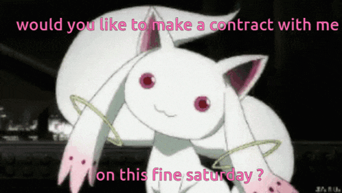a picture of a cat with the words " would you like to make a contract with me on this fine saturday ? "