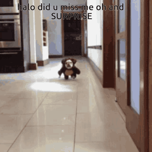 Surprise Haloping GIF - Surprise Haloping Halo Friend GIFs