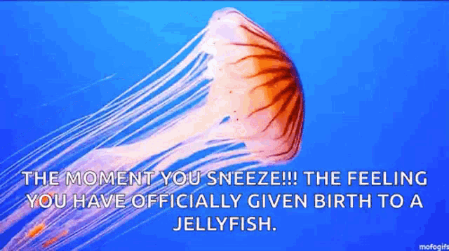 a picture of a jellyfish with a caption that says the moment you sneeze the feeling you have officially given birth to a