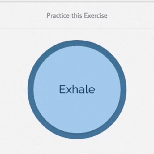 Inhale Exhale GIF - Inhale Exhale Anxiety GIFs