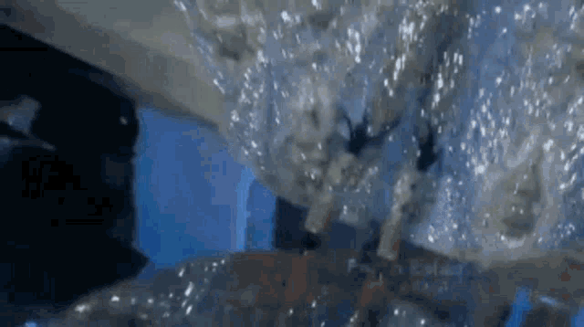 a close up of a person swimming in a pool .