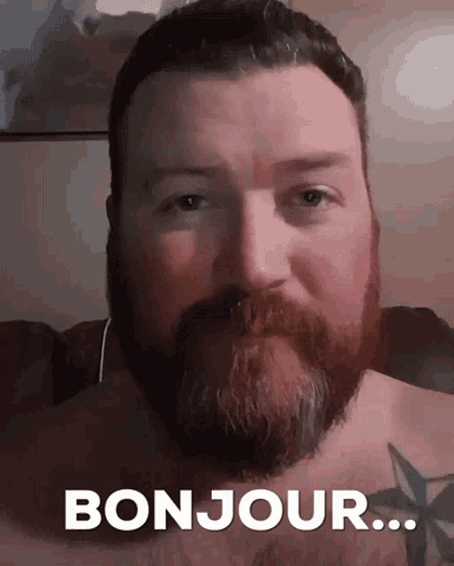 a man with a beard is saying bonjour .