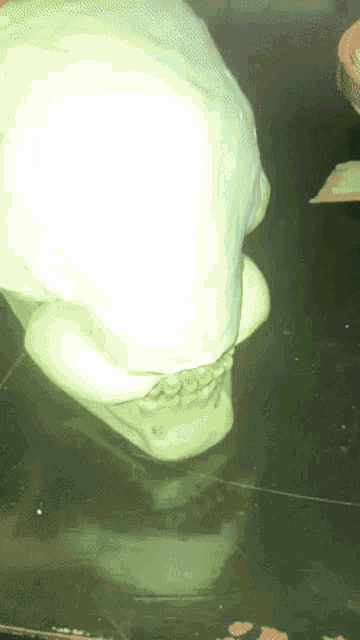 a close up of a skull on a table with a green background