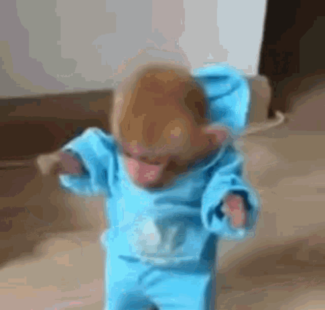 a baby monkey wearing a blue hoodie and pants is walking on a wooden floor .