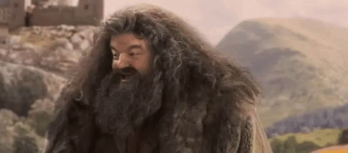 Yess Hagrid GIF - Yess Hagrid Excited GIFs