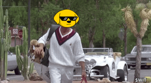 a man carrying a dog wearing sunglasses with the word swift on the bottom left