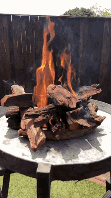 Woodfire Barbecue GIF - Woodfire Fire Barbecue GIFs