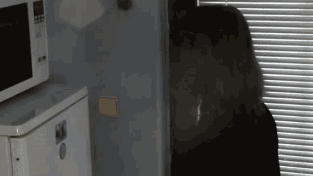 a woman is standing in front of a window with blinds and a microwave in the background