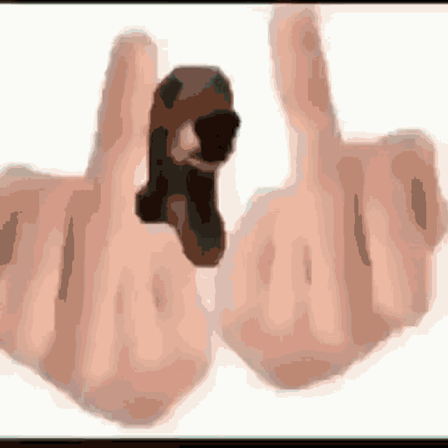 a person is giving a middle finger to another person while holding a stuffed animal .
