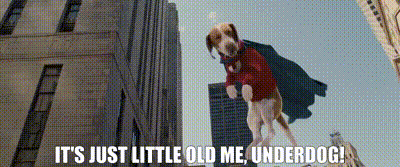 a dog wearing a cape is flying through the air and says it 's just little old me underdog !