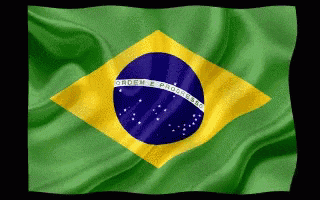 a green and yellow flag with the words ordem e progresso on it