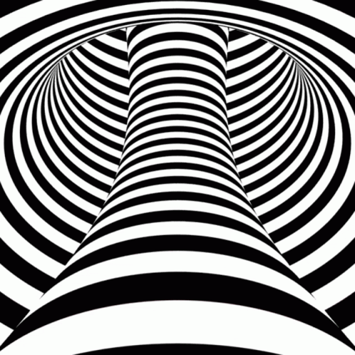 Zebra Black GIF - Zebra Black White GIFs