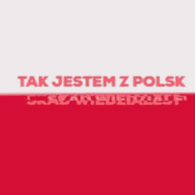 Poland Tak Jestem Z Polski GIF - Poland Tak Jestem Z Polski Polska Gurom GIFs