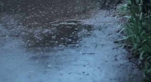 Raining Water GIF - Raining Water Sparkling GIFs