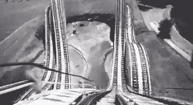 a black and white photo of a roller coaster with a polar bear on the tracks .