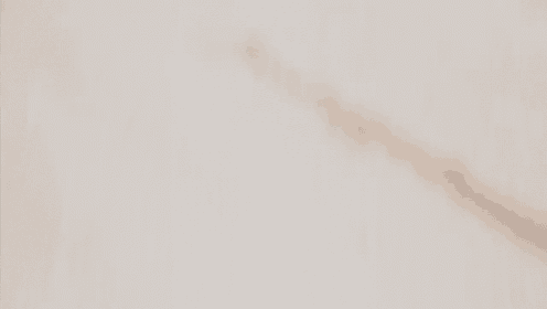 a man is riding a bike down some stairs .