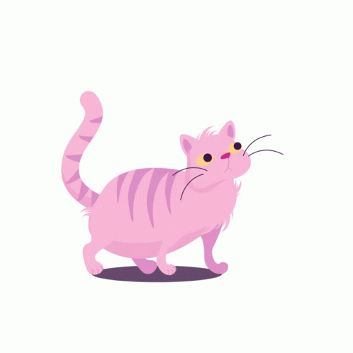Christina Talvir Cat GIF - Christina Talvir Cat Kitty GIFs