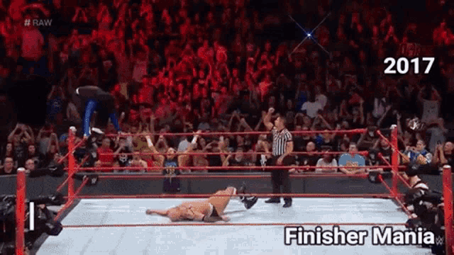 a wrestling match with the words finisher mania written on it