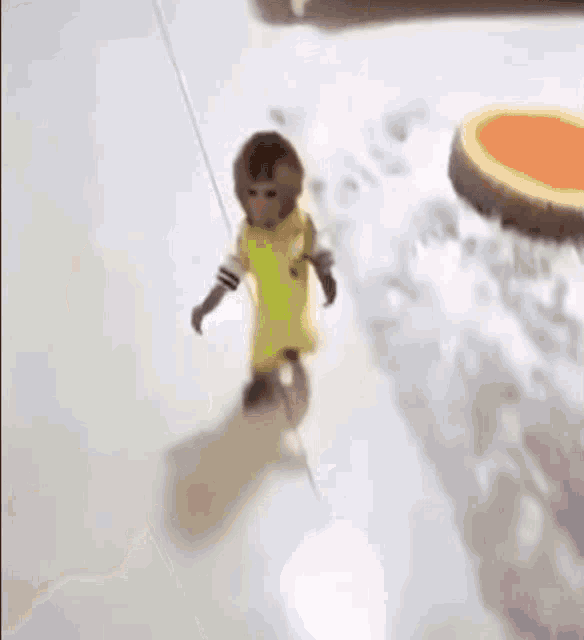 a small monkey is walking down a staircase .