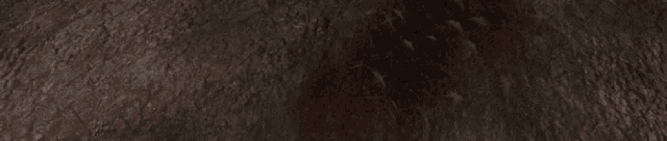 a dark brown background with a few spots of orange