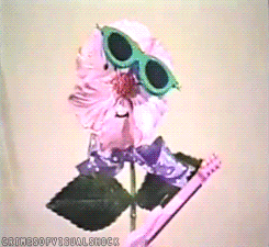 a pink flower wearing sunglasses and holding a guitar with the caption crimes of visual shock