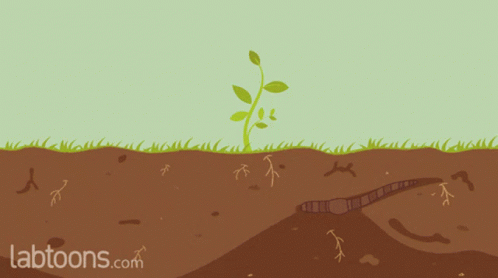 Earthworm Improve GIF - Earthworm Improve Soil GIFs