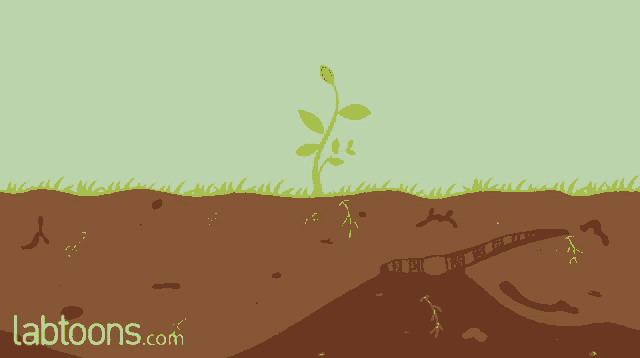 a cartoon of a plant growing out of the ground with labtoons.com written below it
