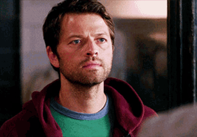 a man with a beard wearing a green shirt and a red hoodie