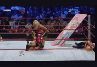 Sharpshooters  GIF - Wrestling Wwe Fight GIFs