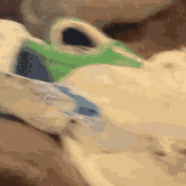 a close up of a person 's foot with a green object on it .