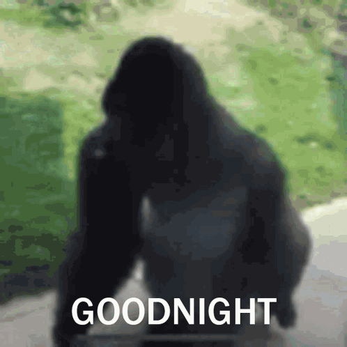 Gorilla Goodnight Gorilla Spin GIF - Gorilla Goodnight Gorilla Spin Goodnight Spin GIFs