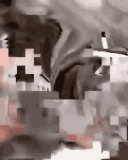 a blurred image of a person 's face is being displayed on a computer screen .