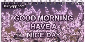 a picture of a cherry blossom tree with the words `` good morning have a nice day '' on it .