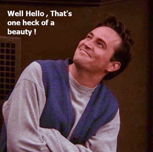 a man with his arms crossed and a caption that says well hello that 's one heck of a beauty !