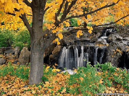 Spring Time Nature GIF - Spring Time Nature Falls GIFs
