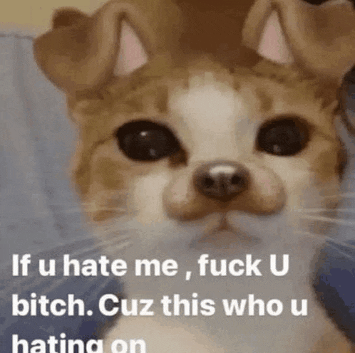 a dog with a caption that says `` if u hate me , fuck u bitch .