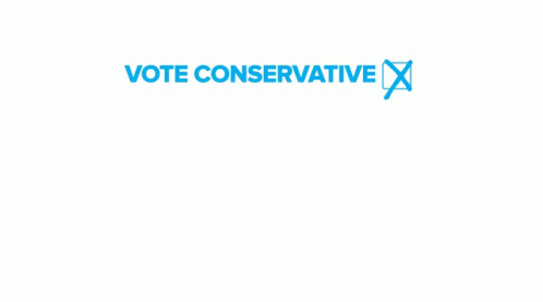 Tory Conservative GIF - Tory Conservative Bouts GIFs